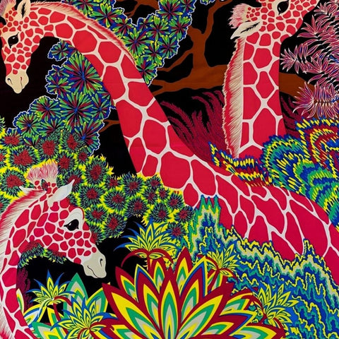 Women Silk Scarf